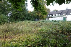 verwachsenes Grundstück