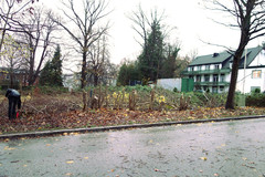 verwachsenes Grundstück