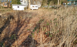 verwachsenes Grundstück